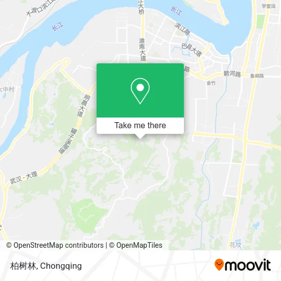 柏树林 map
