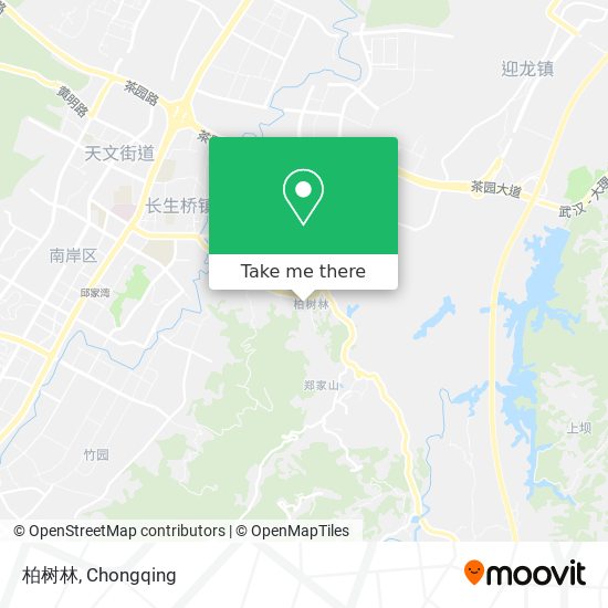 柏树林 map