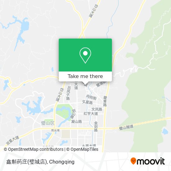 鑫斛药庄(璧城店) map