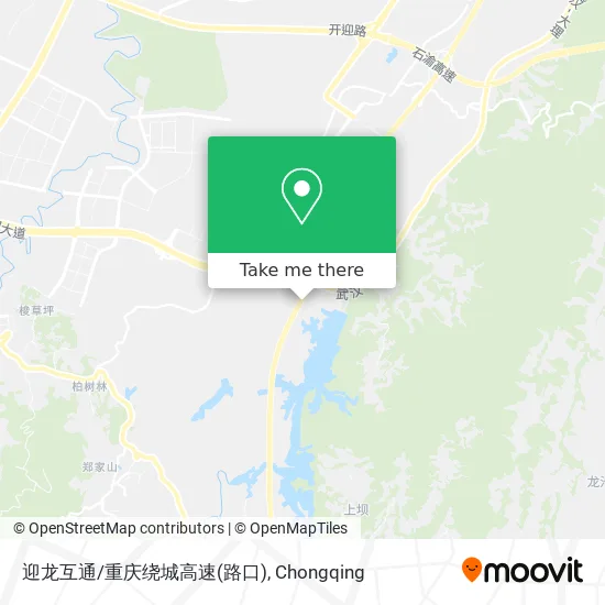 迎龙互通/重庆绕城高速(路口) map