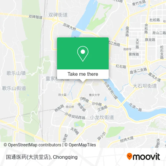 国通医药(大洪堂店) map
