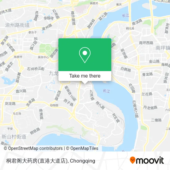 桐君阁大药房(直港大道店) map