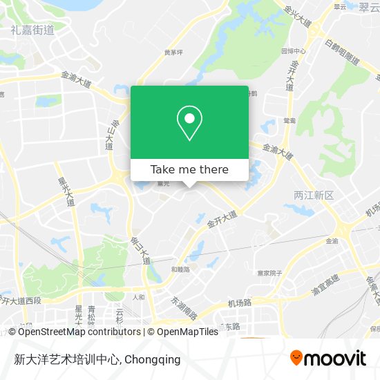 新大洋艺术培训中心 map