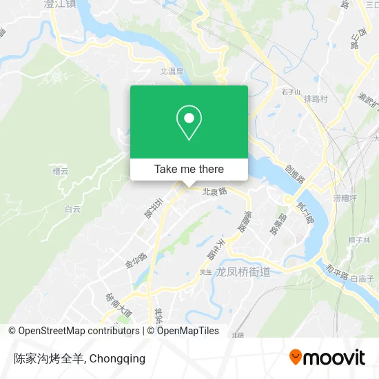 陈家沟烤全羊 map