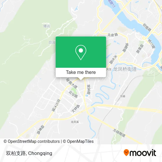 双柏支路 map