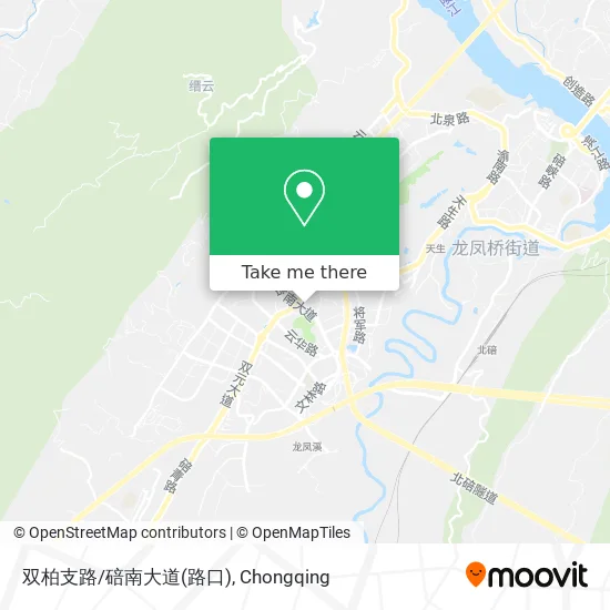 双柏支路/碚南大道(路口) map