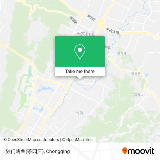 独门烤鱼(茶园店) map