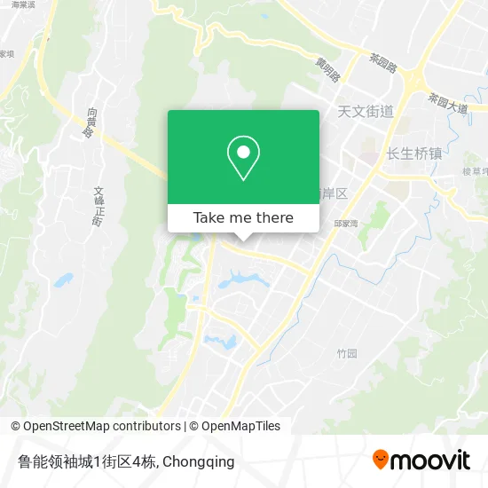 鲁能领袖城1街区4栋 map