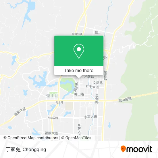 丁家兔 map