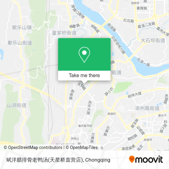 斌洋腊排骨老鸭汤(天星桥直营店) map
