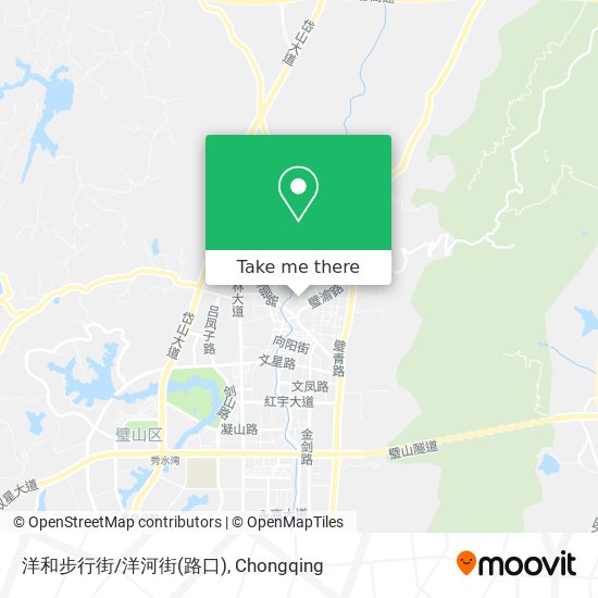 洋和步行街/洋河街(路口) map