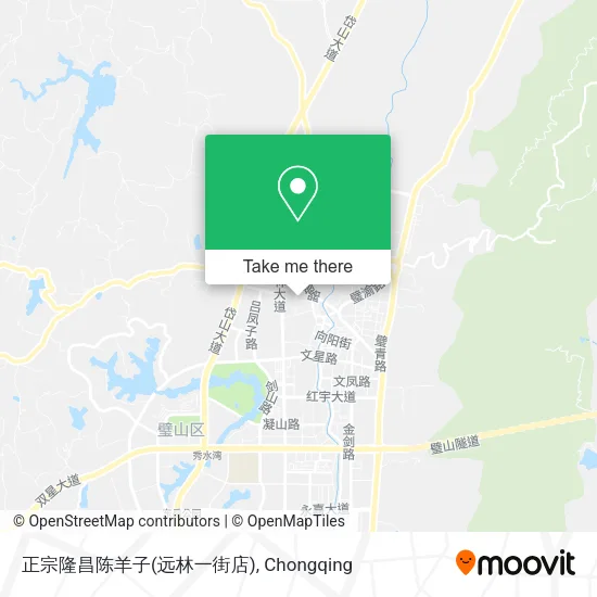 正宗隆昌陈羊子(远林一街店) map