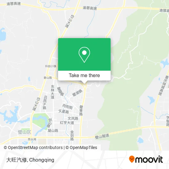 大旺汽修 map