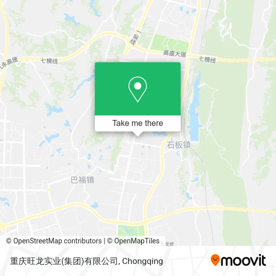 重庆旺龙实业(集团)有限公司 map