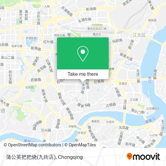 蒲公英把把烧(九街店) map