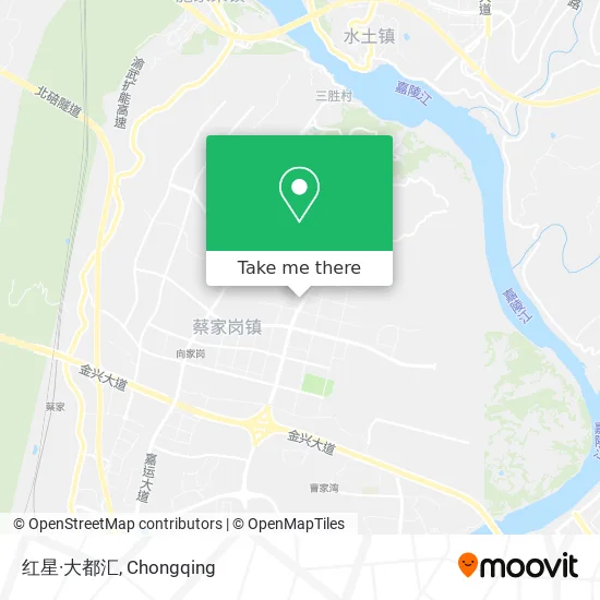 红星·大都汇 map