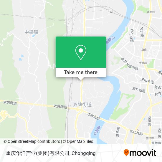 重庆华洋产业(集团)有限公司 map