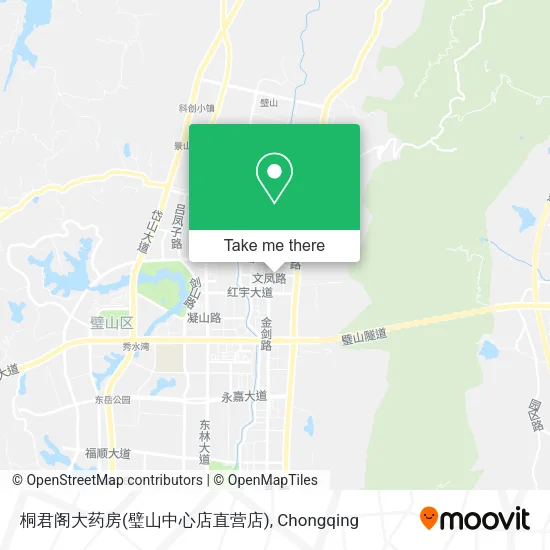 桐君阁大药房(璧山中心店直营店) map