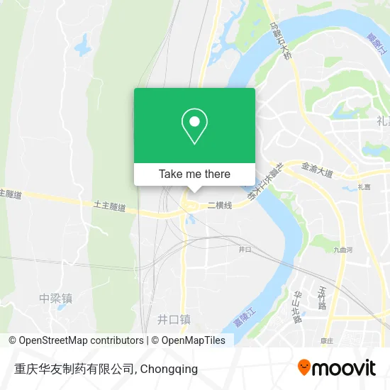 重庆华友制药有限公司 map