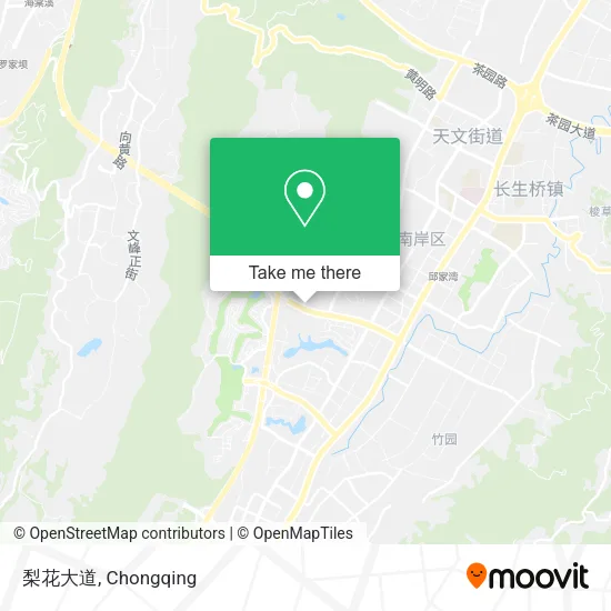 梨花大道 map