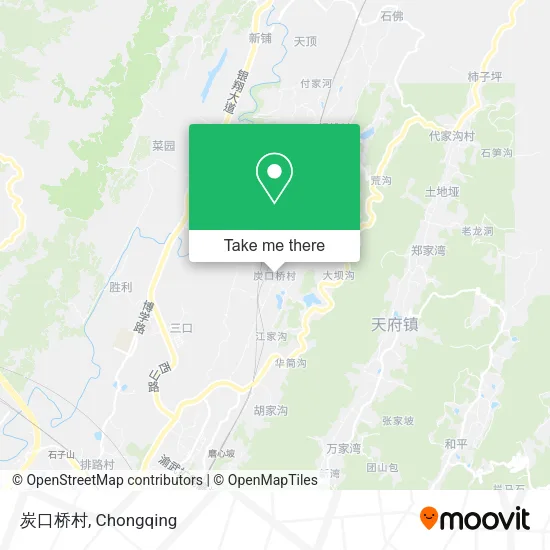 炭口桥村 map
