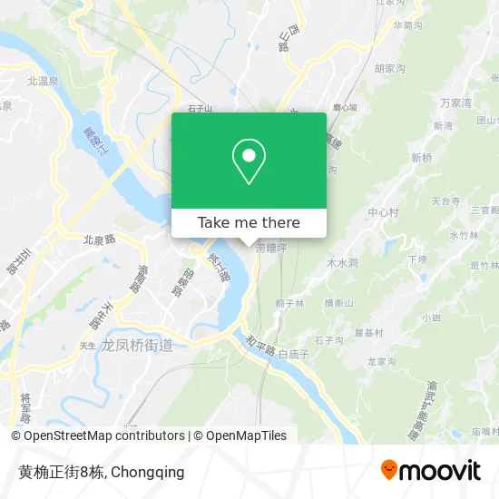 黄桷正街8栋 map