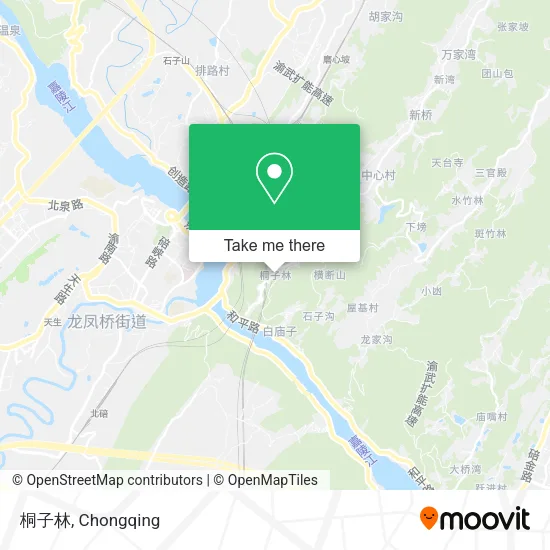 桐子林 map