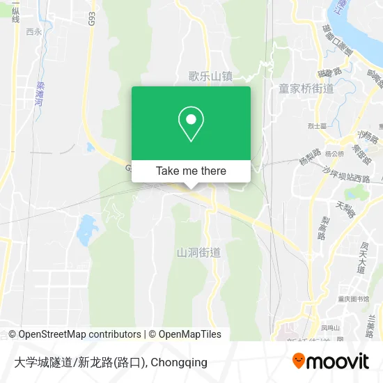 大学城隧道/新龙路(路口) map