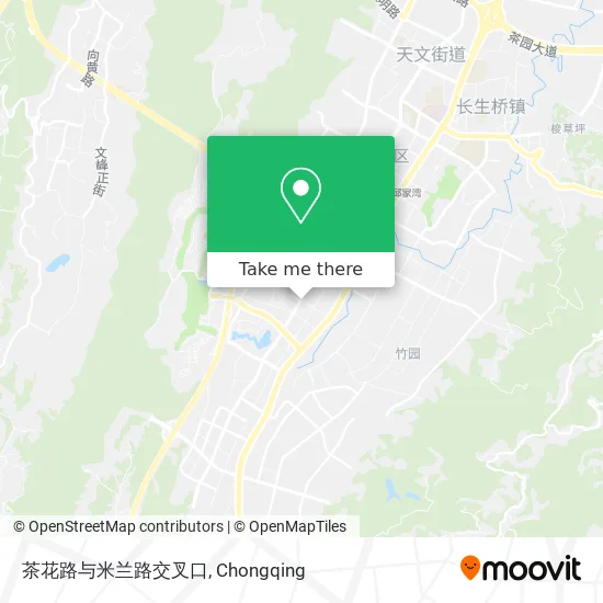 茶花路与米兰路交叉口 map