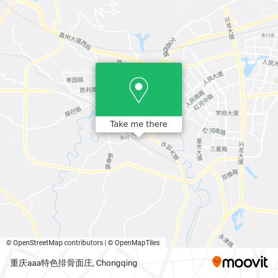 重庆aaa特色排骨面庄 map