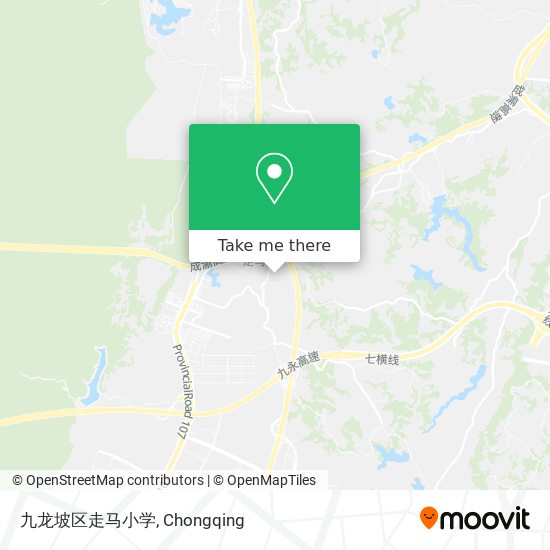 九龙坡区走马小学 map