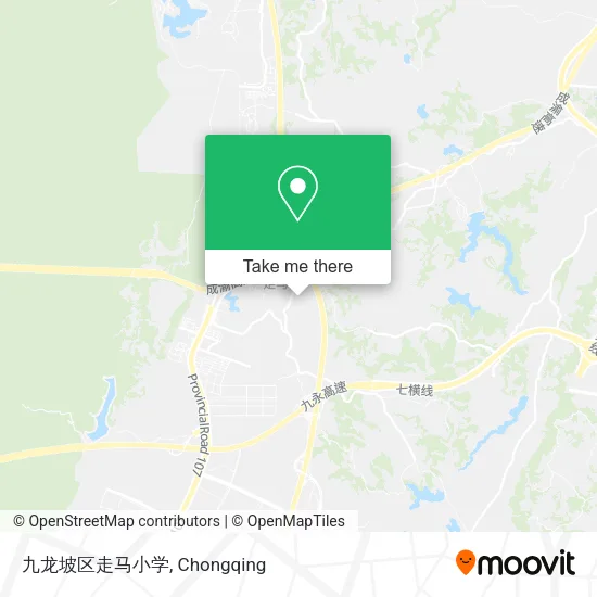 九龙坡区走马小学 map