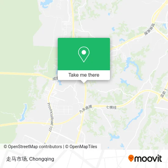 走马市场 map