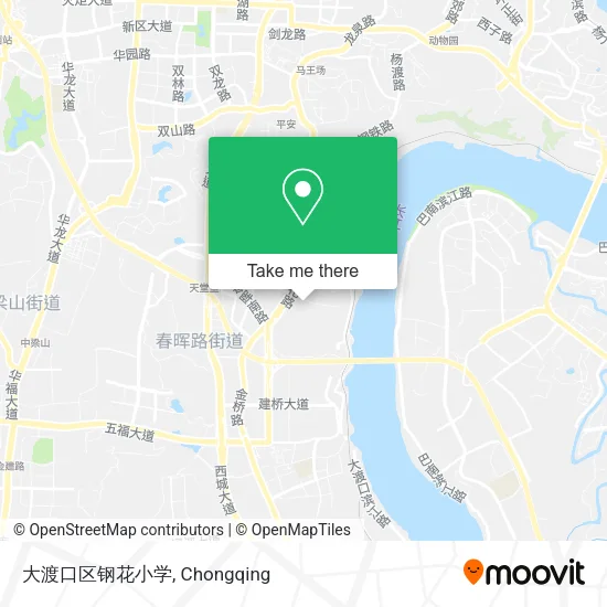 大渡口区钢花小学 map