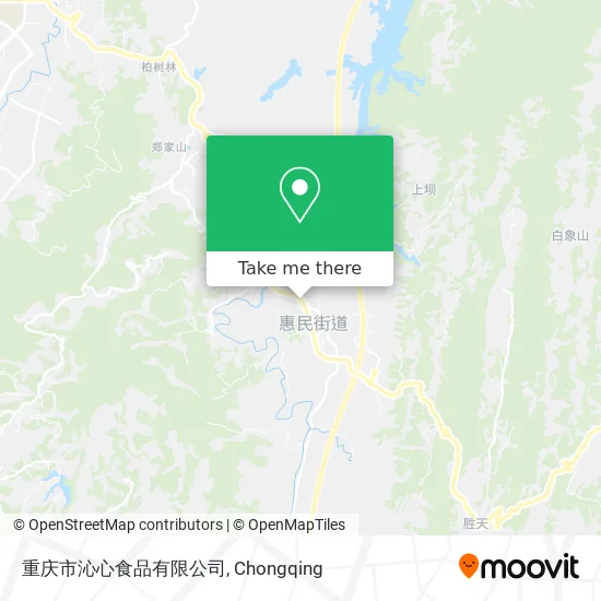 重庆市沁心食品有限公司 map