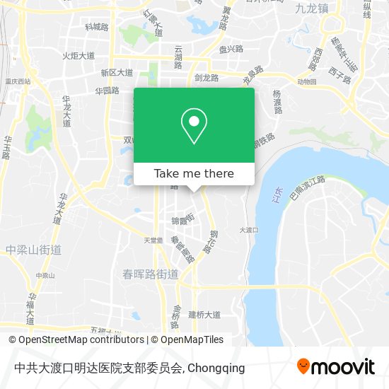 中共大渡口明达医院支部委员会 map