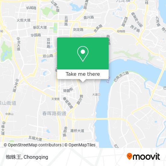 蜘蛛王 map