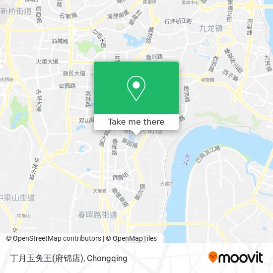 丁月玉兔王(府锦店) map