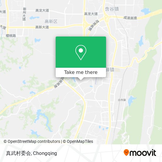真武村委会 map