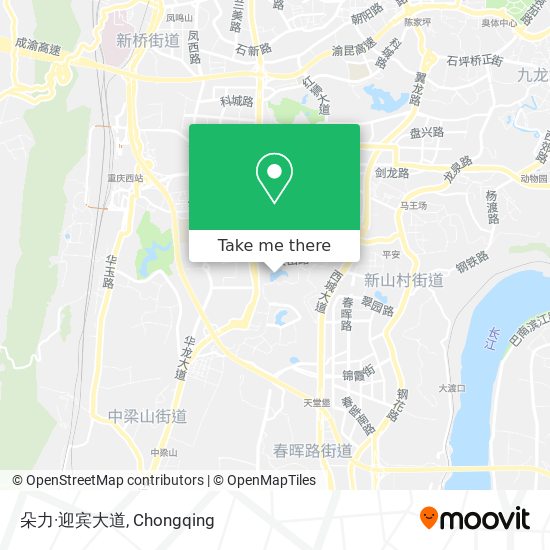 朵力·迎宾大道 map