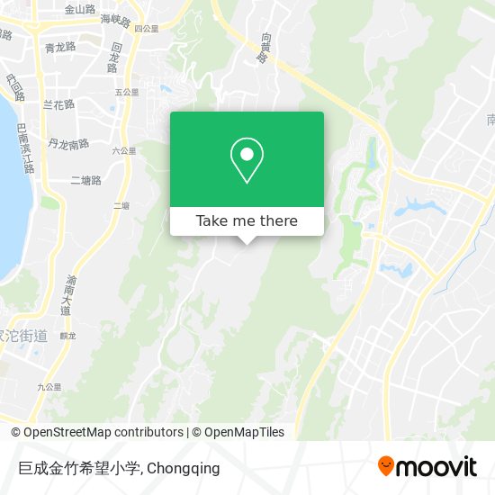 巨成金竹希望小学 map