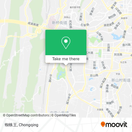 蜘蛛王 map