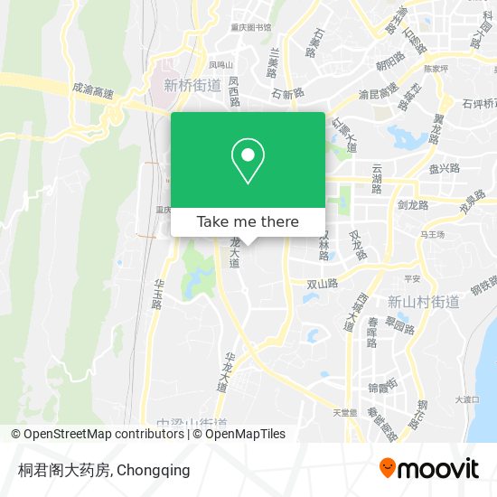 桐君阁大药房 map