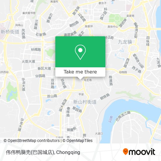伟伟鸭脑壳(巴国城店) map