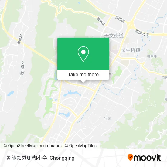 鲁能领秀珊瑚小学 map