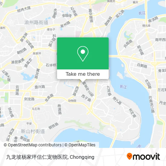 九龙坡杨家坪信仁宠物医院 map