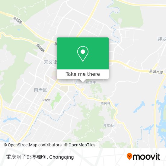 重庆洞子邮亭鲫鱼 map