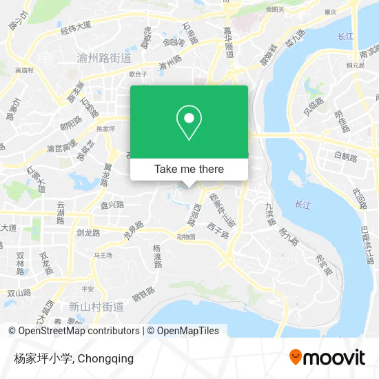 杨家坪小学 map