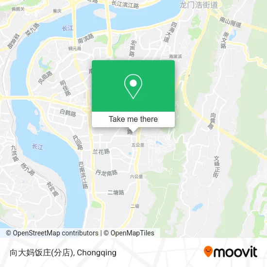 向大妈饭庄(分店) map
