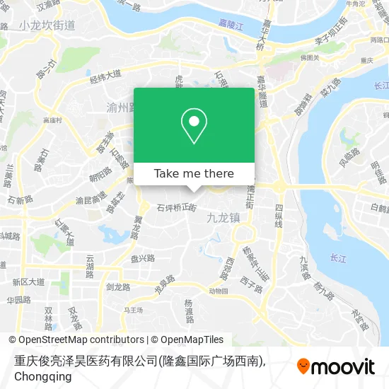 重庆俊亮泽昊医药有限公司(隆鑫国际广场西南) map